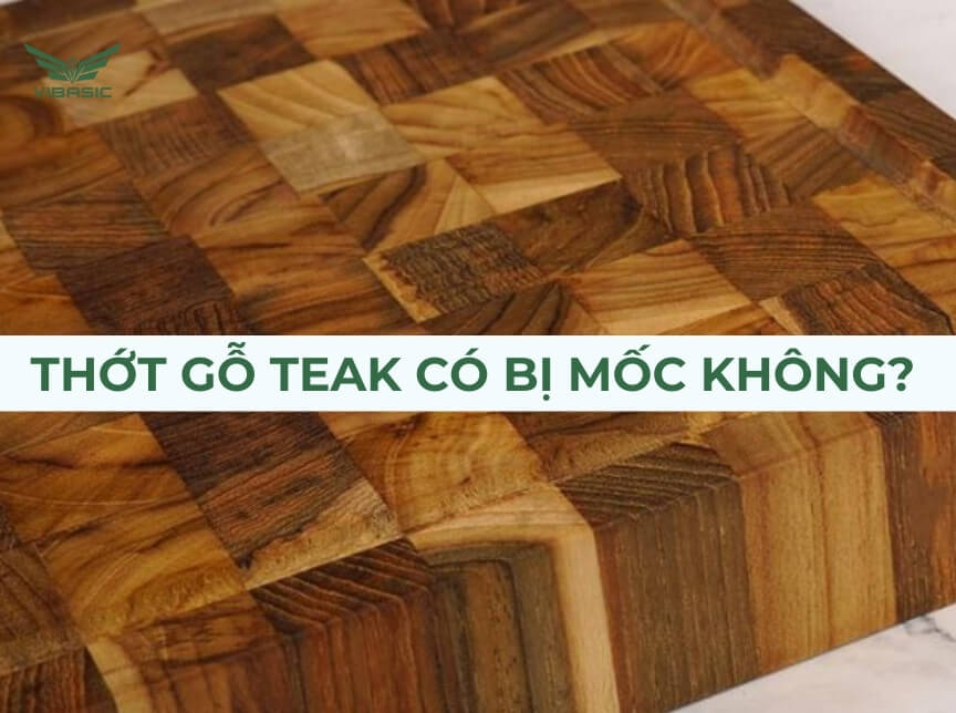 Thớt gỗ Teak có bị mốc không? Sự thật và hướng dẫn vệ sinh đúng chuẩn